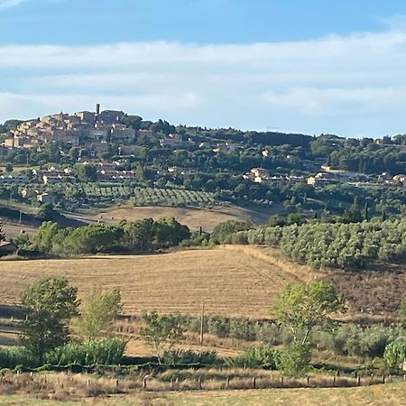Podere Campo Alle Serpi Bibbona Eksteriør billede