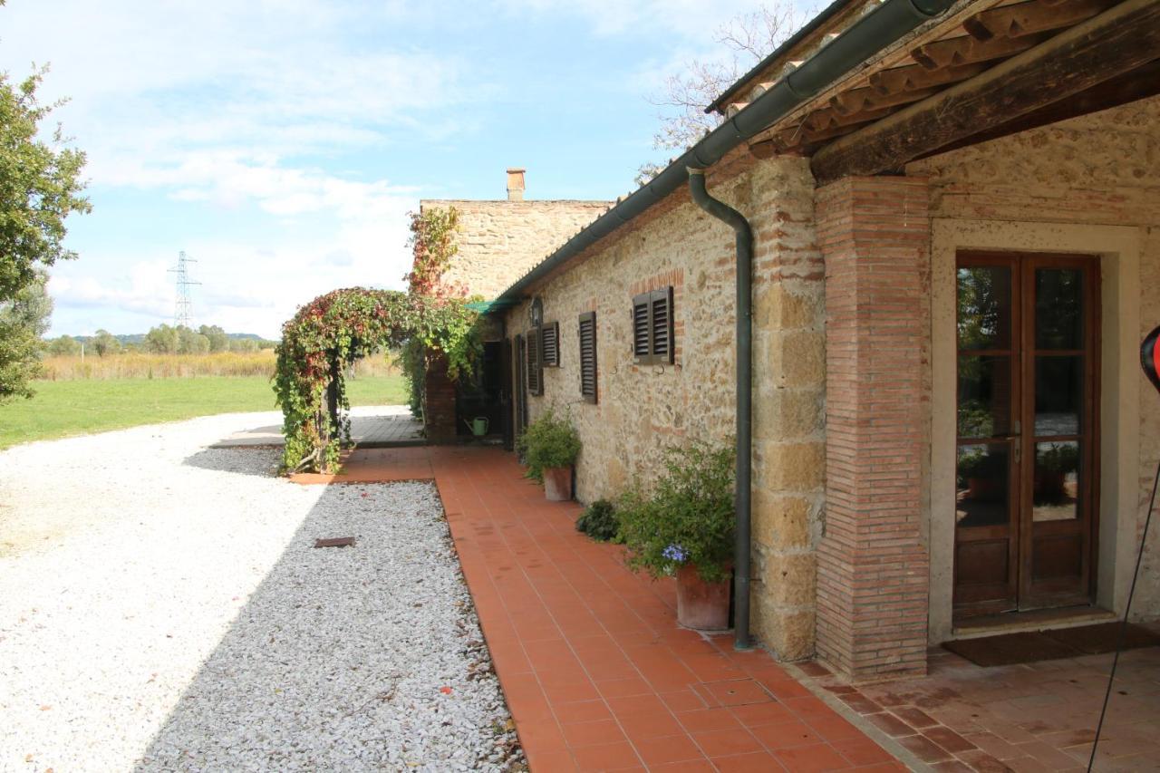 Podere Campo Alle Serpi Bibbona Eksteriør billede