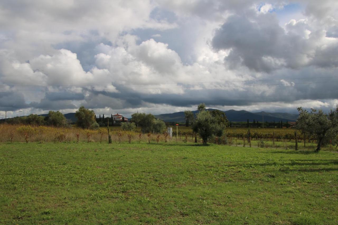 Podere Campo Alle Serpi Bibbona Eksteriør billede