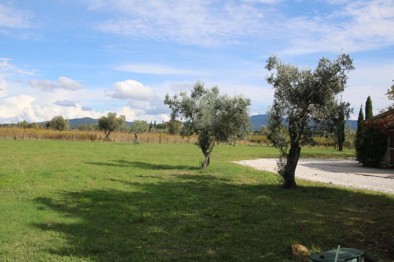 Podere Campo Alle Serpi Bibbona Eksteriør billede