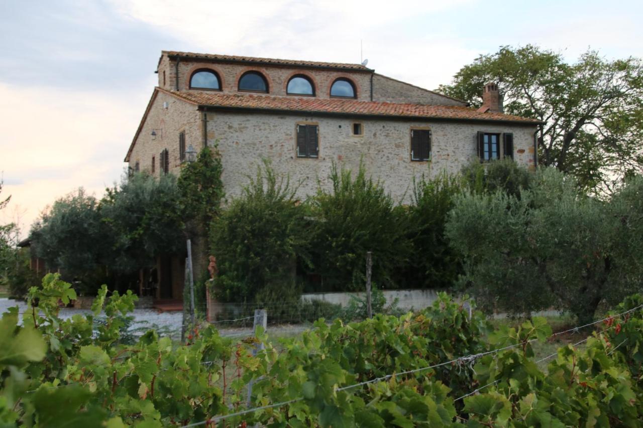 Podere Campo Alle Serpi Bibbona Eksteriør billede