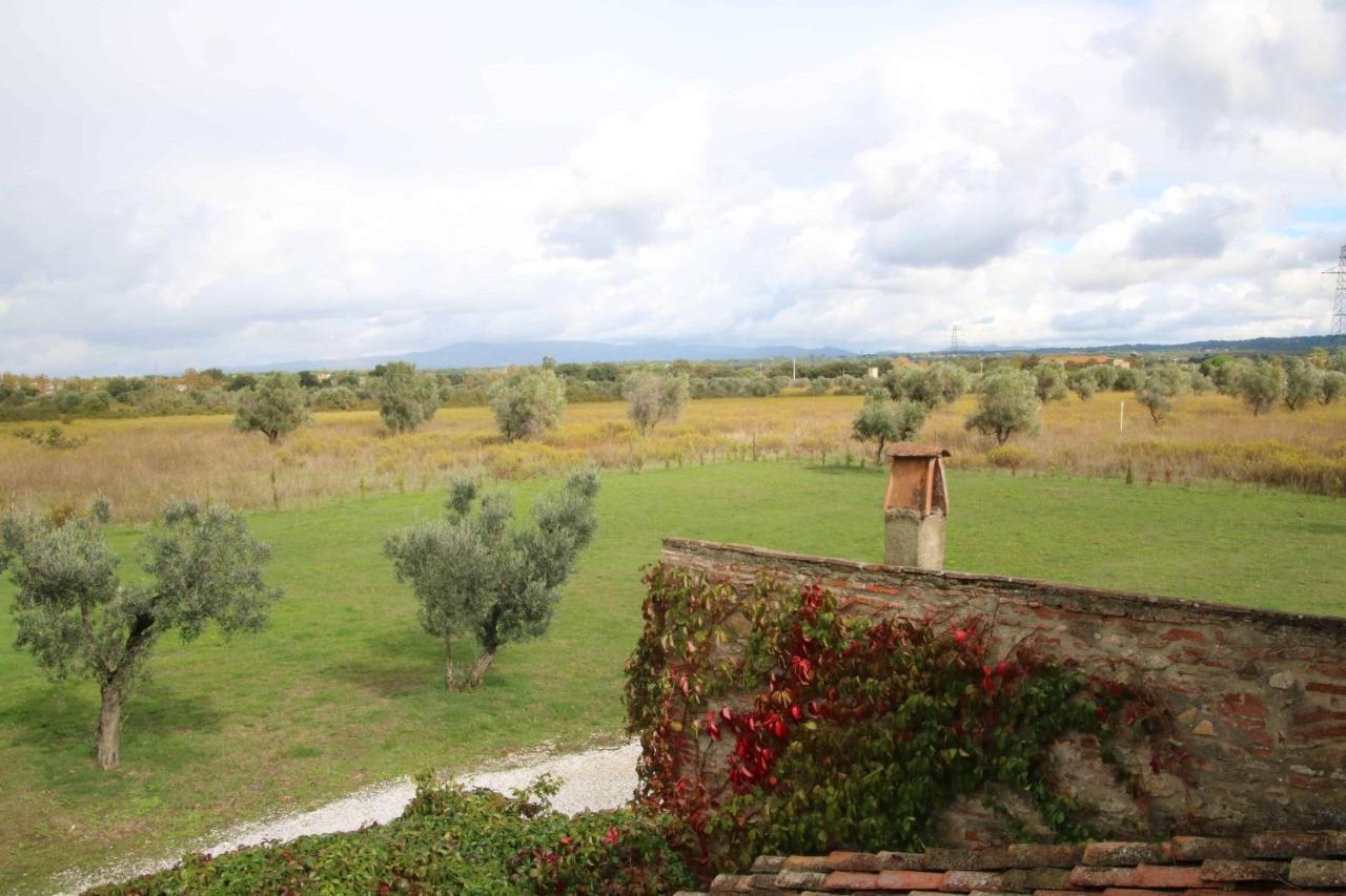 Podere Campo Alle Serpi Bibbona Eksteriør billede