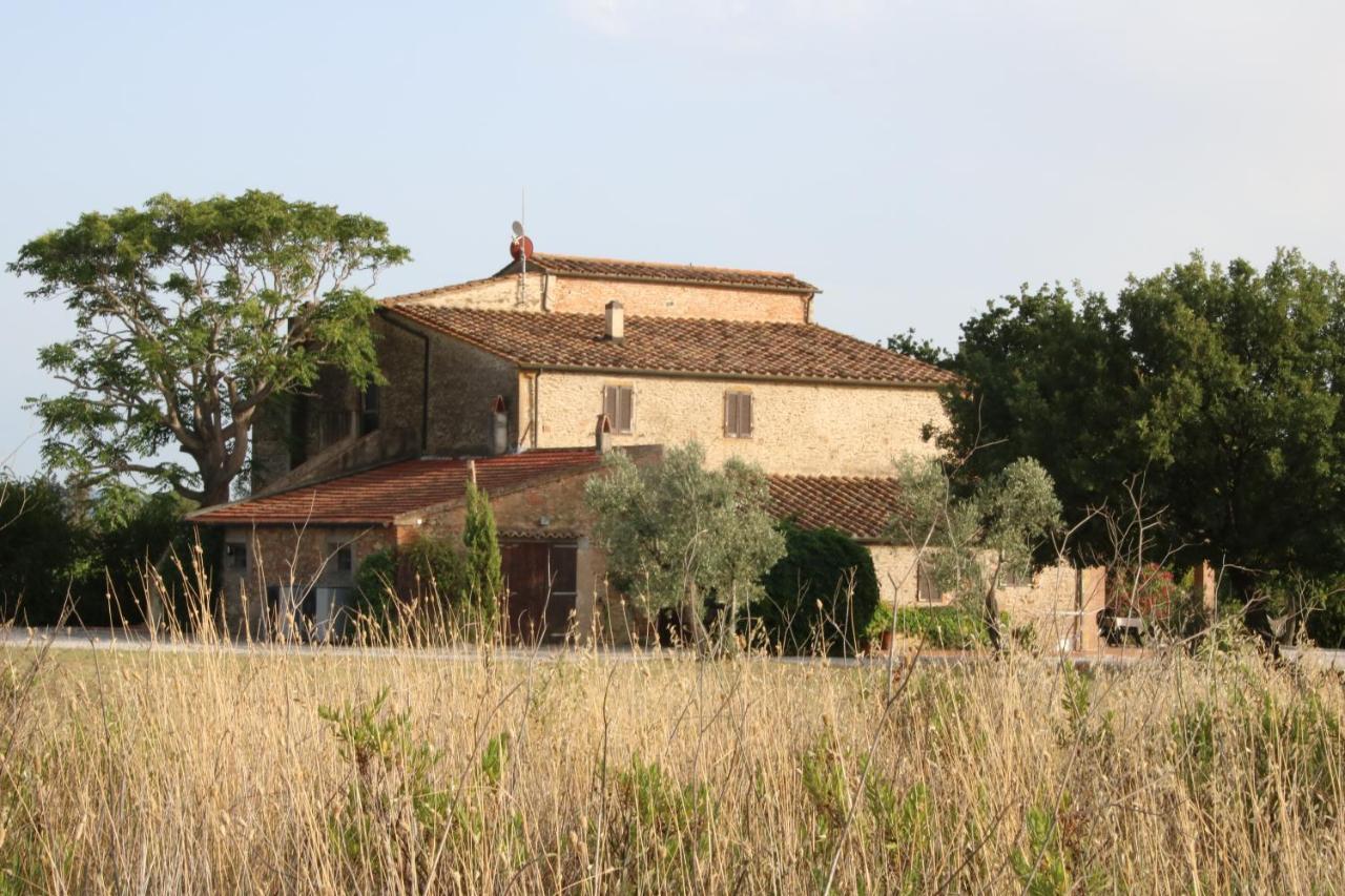 Podere Campo Alle Serpi Bibbona Eksteriør billede