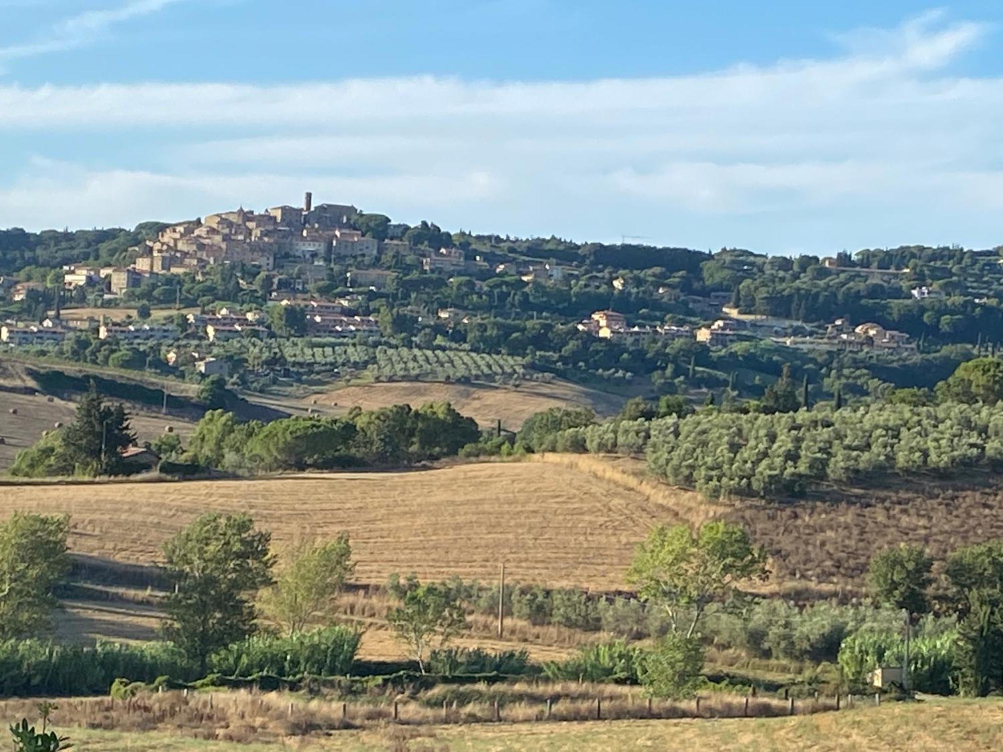 Podere Campo Alle Serpi Bibbona Eksteriør billede