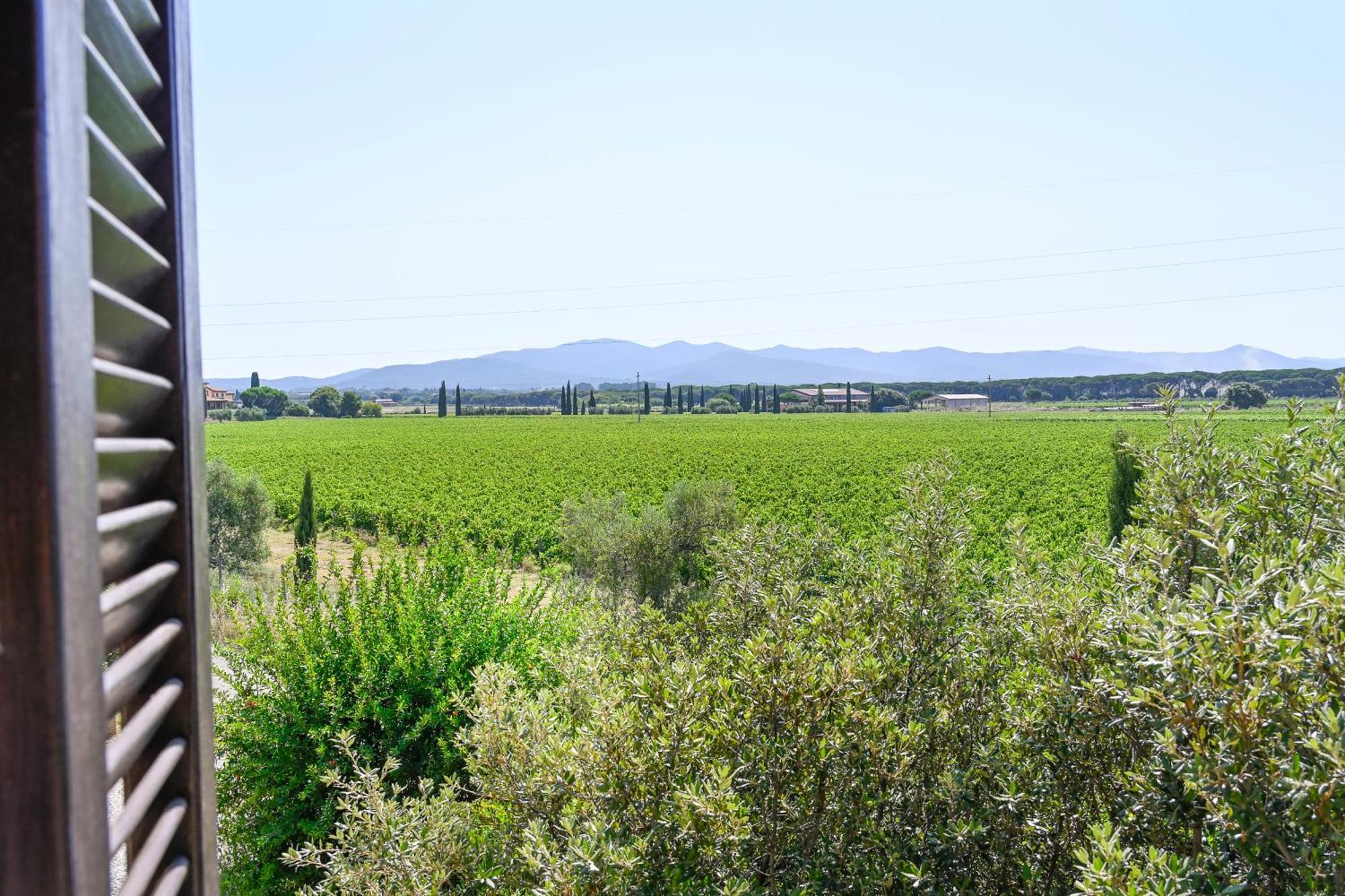 Podere Campo Alle Serpi Bibbona Værelse billede