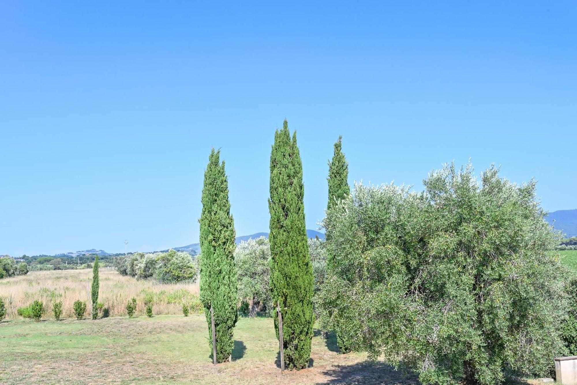 Podere Campo Alle Serpi Bibbona Værelse billede
