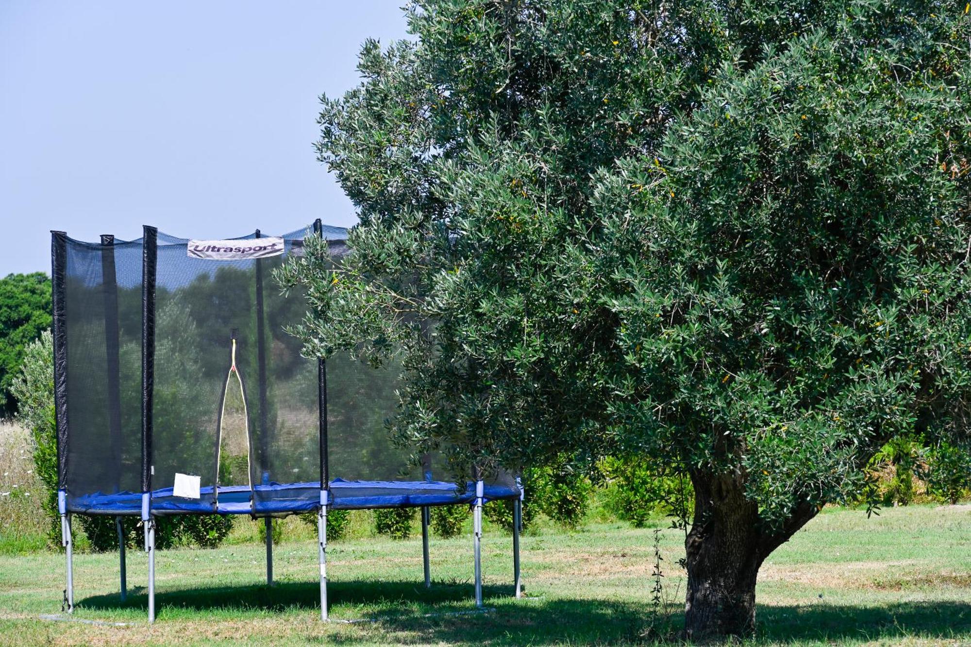 Podere Campo Alle Serpi Bibbona Eksteriør billede